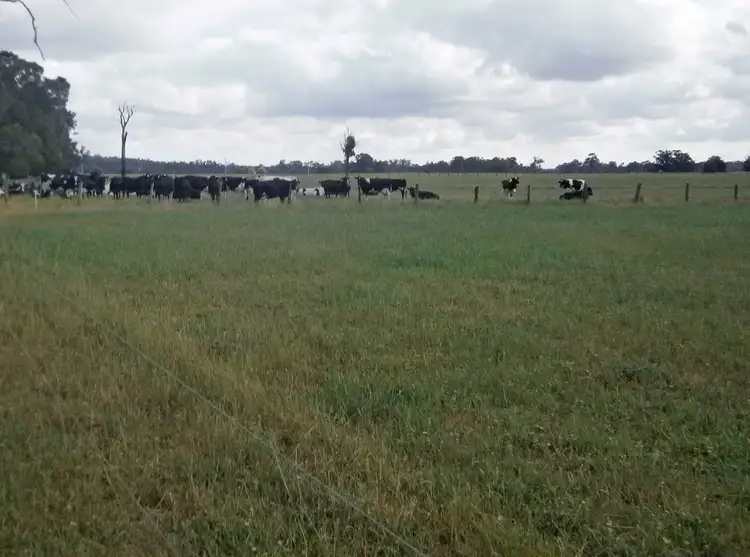 Fourth view of Homely rural property listing, 157 Boyanup West Road, Stratham WA 6237