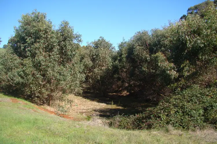 Fourth view of Homely land listing, 69 Sunridge Drive, Bridgetown WA 6255