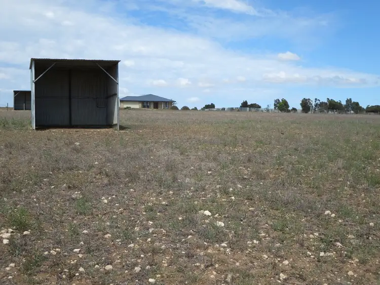 Fourth view of Homely house listing, 51 Bluebush Crt, Murray Bridge SA 5253