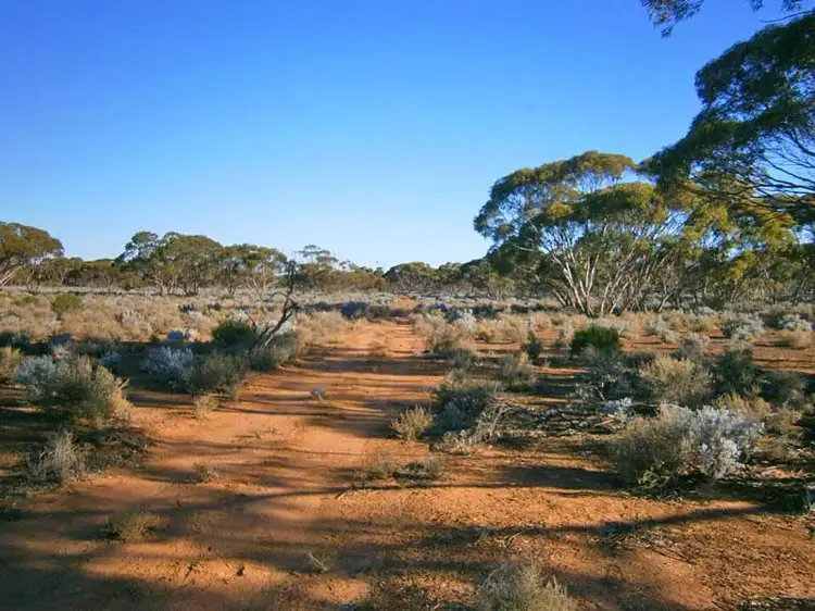 Seventh view of Homely rural property listing, Lot 252 Twill Road, Morgan SA 5320