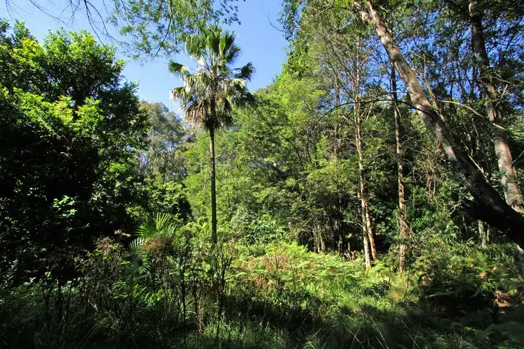 Fourth view of Homely land listing, Lot 4 Tallgums Way, Surf Beach NSW 2536