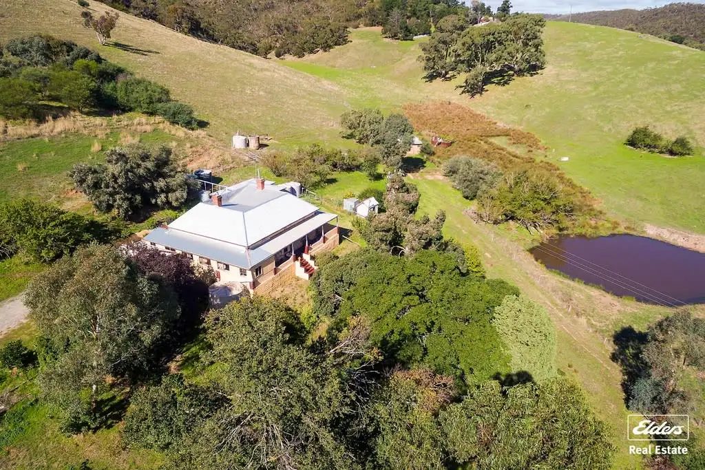Main view of Homely house listing, 36 Springton Road, Williamstown SA 5351