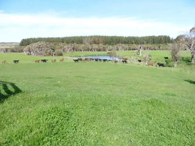 Third view of Homely rural property listing, 578 Sandy Points Road, Bridport TAS 7262