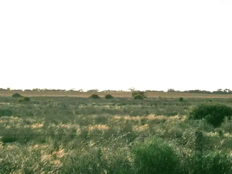 Fifth view of Homely rural property listing, Lot 3 Naidia Road, Swan Reach SA 5354