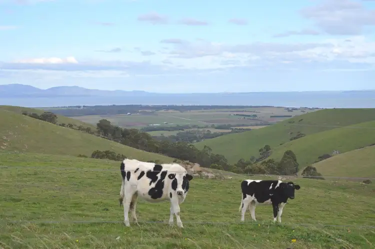 Main view of Homely rural property listing, 295 Slade Hill Road, Welshpool VIC 3966
