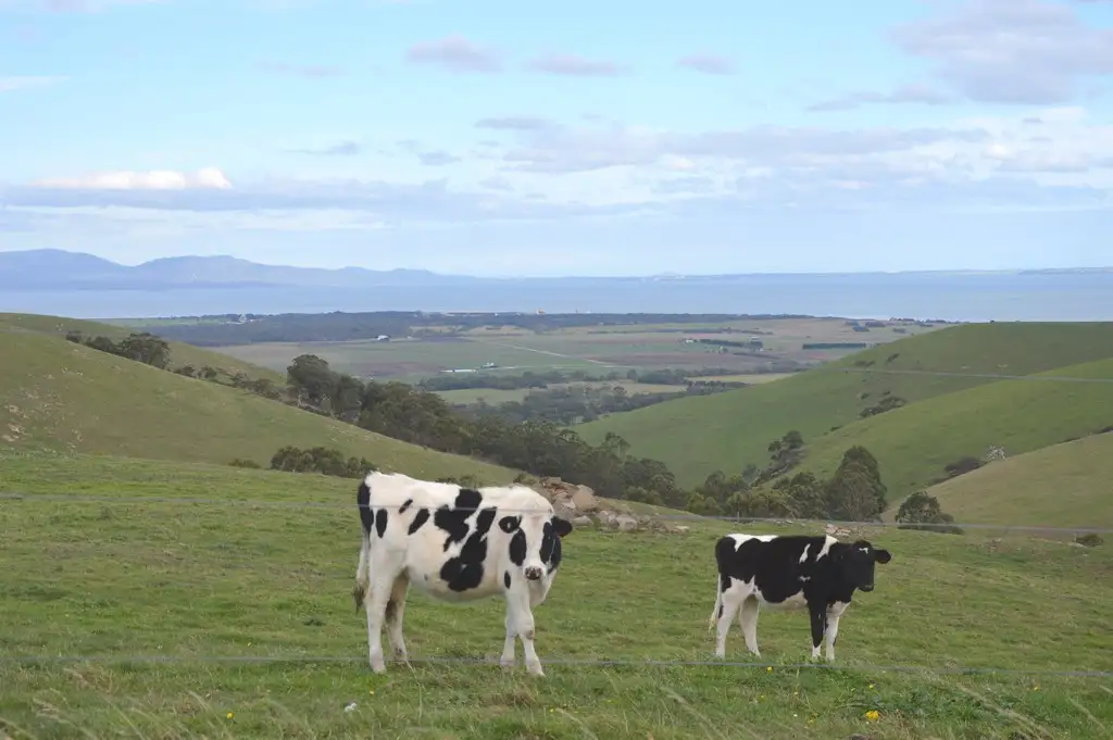 Main view of Homely rural property listing, 295 Slade Hill Road, Welshpool VIC 3966