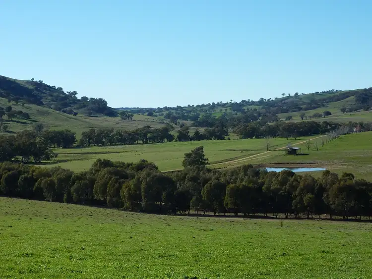 Sixth view of Homely rural property listing, 146 Pulletop Poad, Wagga Wagga NSW 2650
