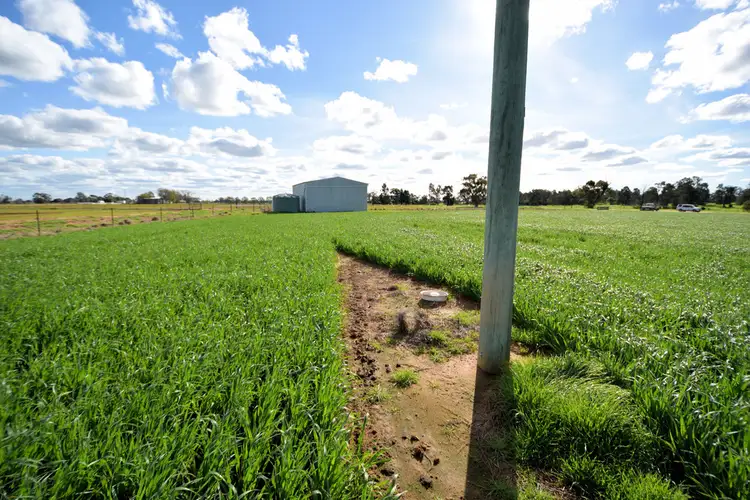 Fourth view of Homely land listing, 334 TODDS ROAD, Deniliquin NSW 2710