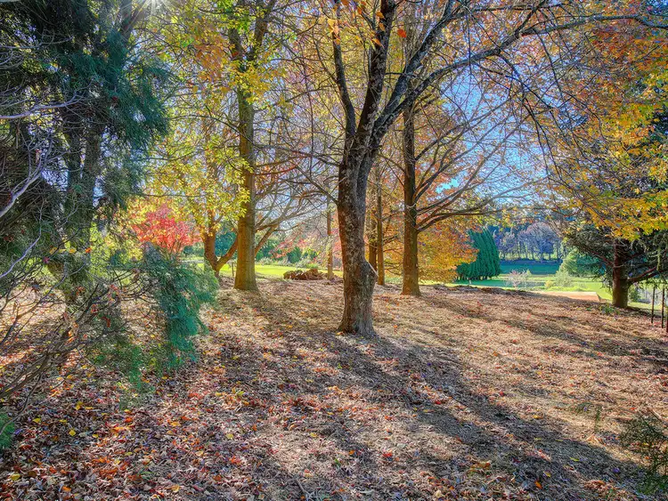 Fourth view of Homely land listing, 38 Hoddle Street, Burrawang NSW 2577