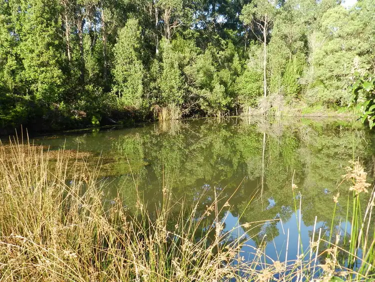 Second view of Homely house listing, 1004 West Calder Road (Takone end), Calder TAS 7325