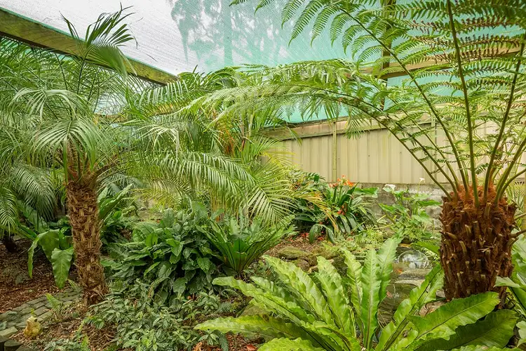 Sixth view of Homely house listing, 35 Timberi Avenue, Dapto NSW 2530