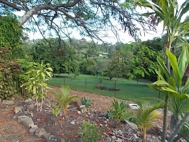 Third view of Homely rural property listing, 149 Andrew Fordyce Road, Mount Jukes QLD 4740