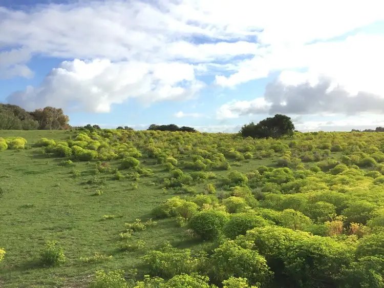 Main view of Homely land listing, Lot 14 Admella Drive, Beachport SA 5280