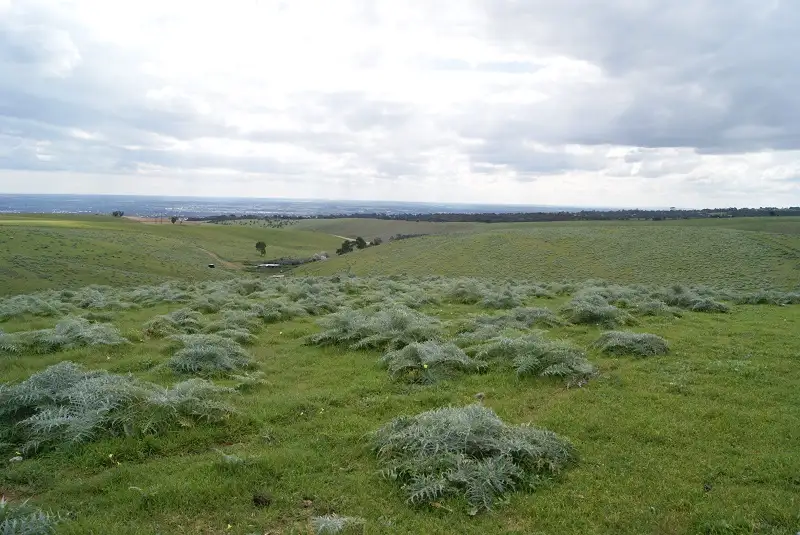 Main view of Homely land listing, Lot 110 Yorktown Road, One Tree Hill SA 5114
