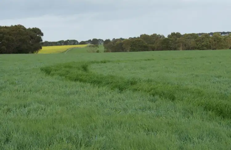 Second view of Homely rural property listing, 966 Glenthompson-Caramut Road, Caramut VIC 3274