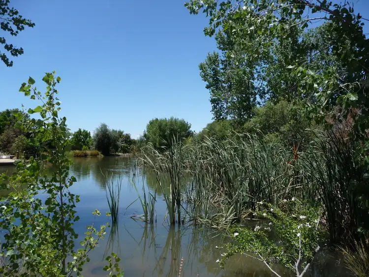 Third view of Homely land listing, L 4 Coxon Place, Echuca VIC 3564