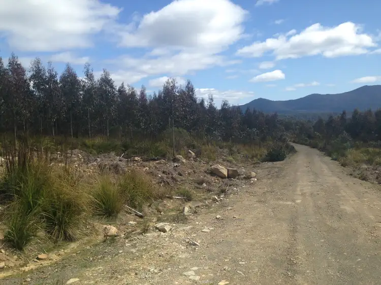 Lot 1 90 Mt Barrow Road, Nunamara TAS 7259