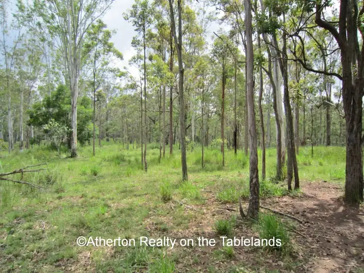 Third view of Homely land listing, 13 Harding Road, Wondecla QLD 4887