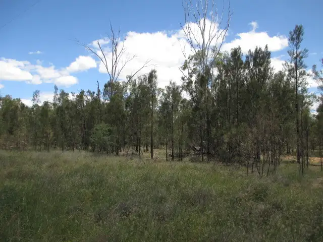 Second view of Homely rural property listing, LOT 117 ROCKY CRESCENT, Tara QLD 4421