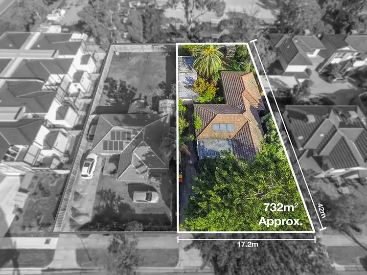 36 Bettina Street, Clayton VIC 3168