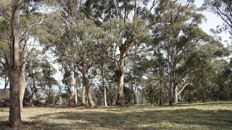 Main view of Homely land listing, Lot 12 Horderns Road, Bowral NSW 2576