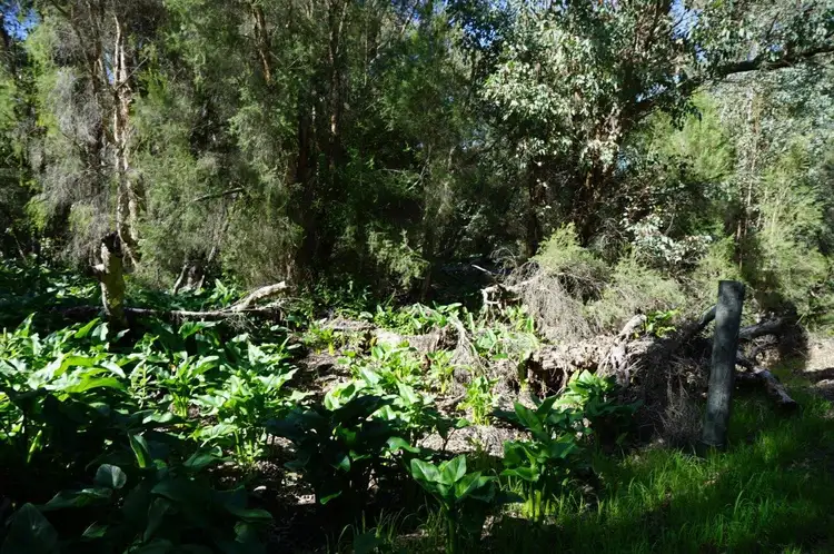 2851 (Lot 124) Brand Highway, Gingin WA 6503