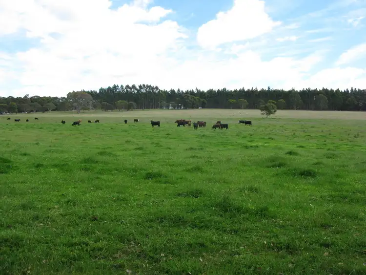 Fifth view of Homely rural property listing, 494 Spencer Rd, Narrikup WA 6326