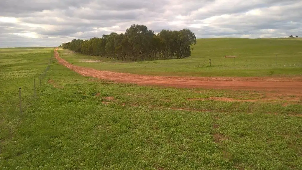 Main view of Homely rural property listing, 2115 Gillingarra West Road, Yathroo WA 6507