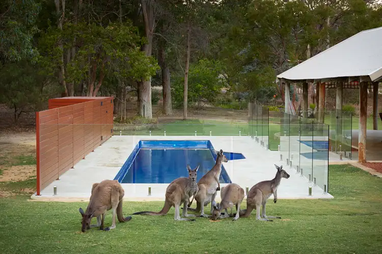 Main view of Homely rural property listing, 5 White Hill Road, Bouvard WA 6211