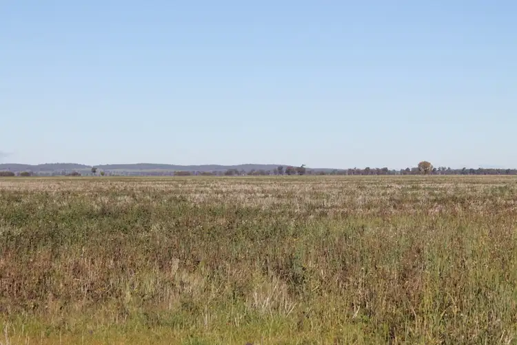 Seventh view of Homely rural property listing, - Tallabung, Forbes NSW 2871