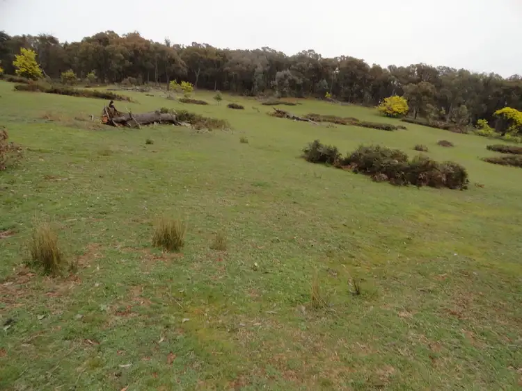 Second view of Homely rural property listing, 724 Yenschs Road, Lankeys Creek NSW 2644