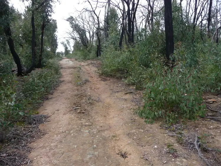 Fourth view of Homely land listing, 719 Paynes Bridge Road, Dereel VIC 3352