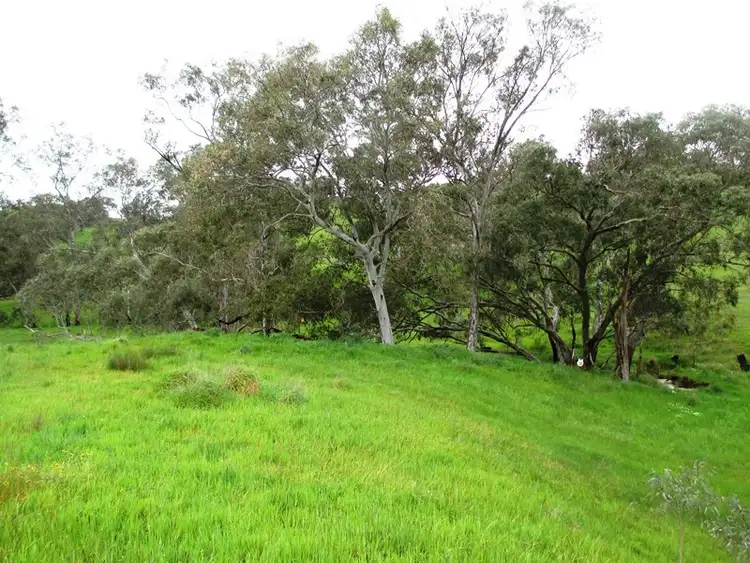 Second view of Homely rural property listing, 122 Parsons Road, Alexandra VIC 3714