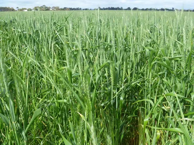 Second view of Homely land listing, Lot 59 Gawler Road, Two Wells SA 5501