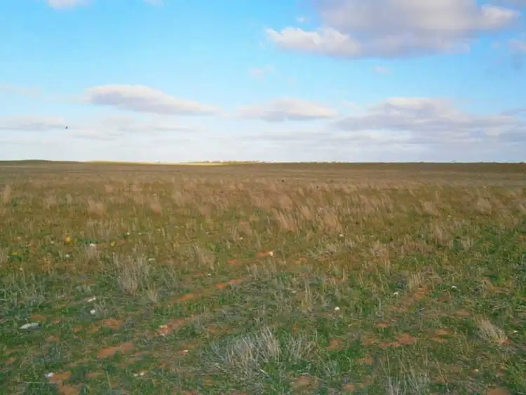 Second view of Homely rural property listing, Lot 3 Naidia Road, Swan Reach SA 5354