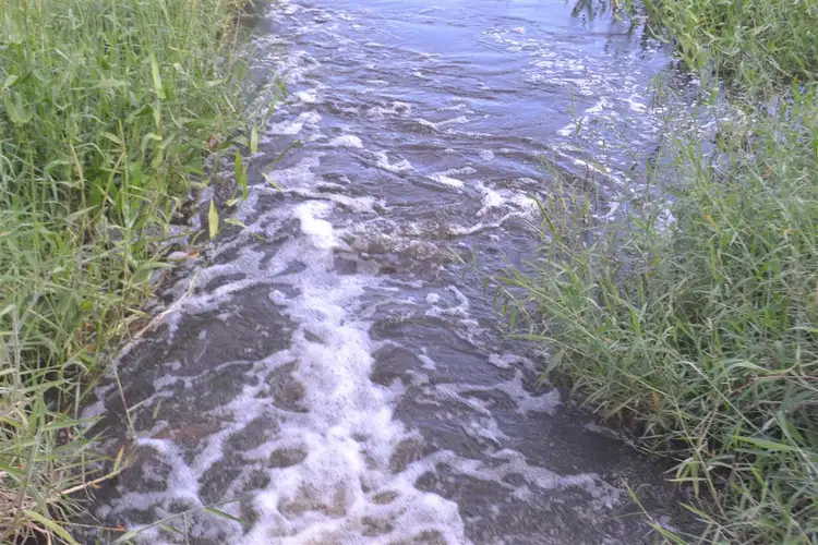 Sixth view of Homely rural property listing, . Paddy's Swamp Road, Stanage QLD 4702