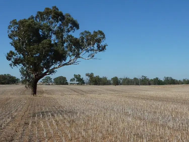 Third view of Homely rural property listing, 300 Hatwells Crossing Road, Wagga Wagga NSW 2650