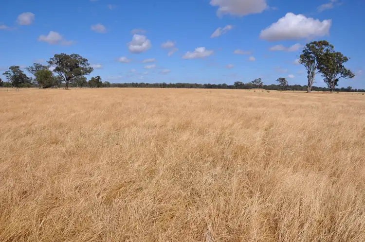 Main view of Homely rural property listing, 770 Reillys Pit Rd, Wunghnu VIC 3635