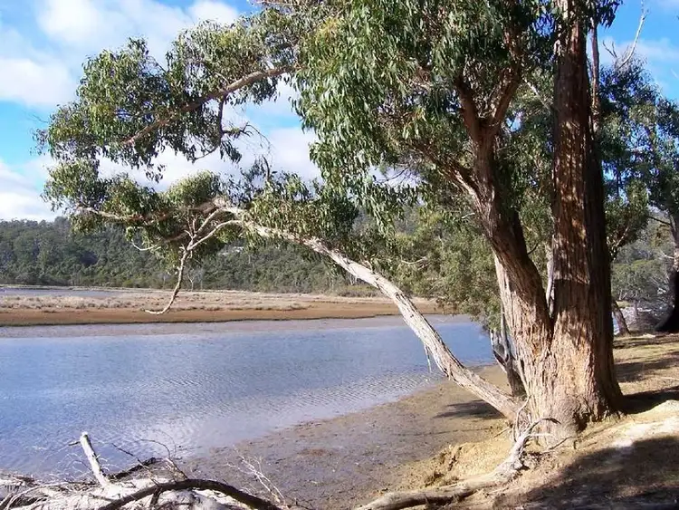 Third view of Homely rural property listing, 111485/1 Nubeena Road, Koonya TAS 7187