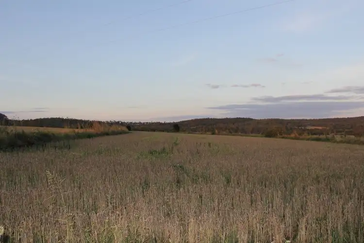 Fourth view of Homely rural property listing, Address available on request