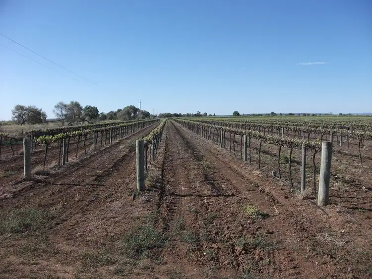 Seventh view of Homely rural property listing, 199D Mansell Road, Hanwood NSW 2680