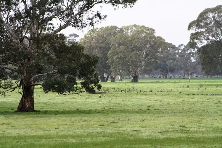 Sixth view of Homely rural property listing, 2097 Lucindale Road, Naracoorte SA 5271