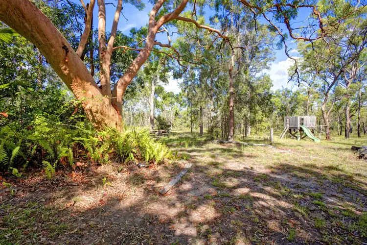 Seventh view of Homely rural property listing, 671 Murphy Road, Captain Creek QLD 4677