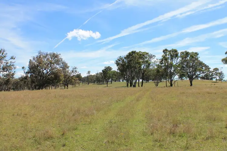 Third view of Homely rural property listing, 177 Herbert Park Road, Armidale NSW 2350