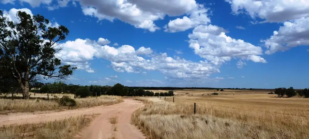 Main view of Homely rural property listing, Weetbix's Bennie Road, Wirrulla SA 5661