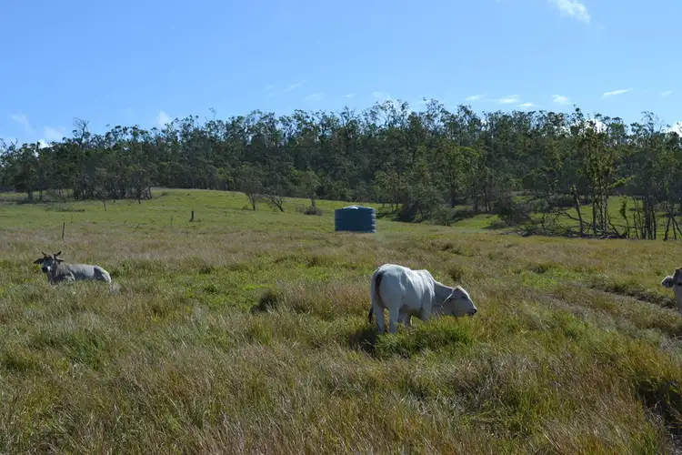 Fourth view of Homely rural property listing, . Madges Road, Bungundarra QLD 4703