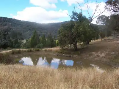 Sixth view of Homely rural property listing, 00 Foggs Crossing, Bigga NSW 2583