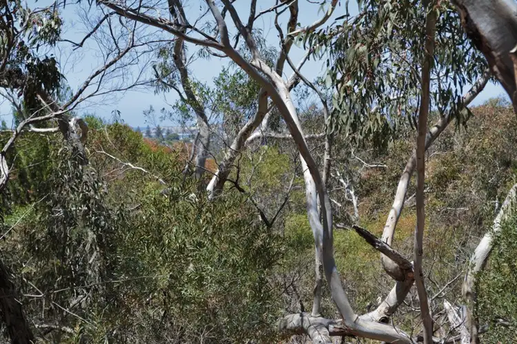 Third view of Homely house listing, 97 Waggon Road, Victor Harbor SA 5211