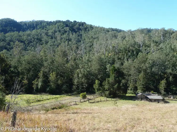 Fifth view of Homely rural property listing, 279 Sawpit Creek road, Kyogle NSW 2474