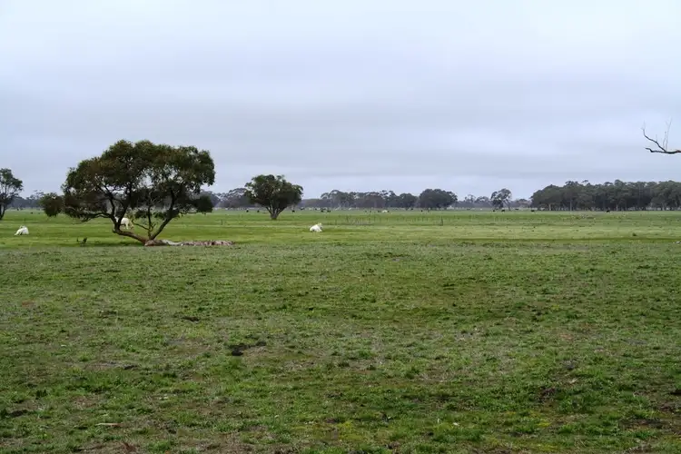Fourth view of Homely rural property listing, 2097 Lucindale Road, Naracoorte SA 5271